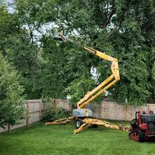 Best Tree Risk Assessment  in Brice Prairie, WI