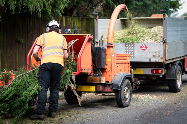Best Firewood Processing and Delivery  in Brice Prairie, WI