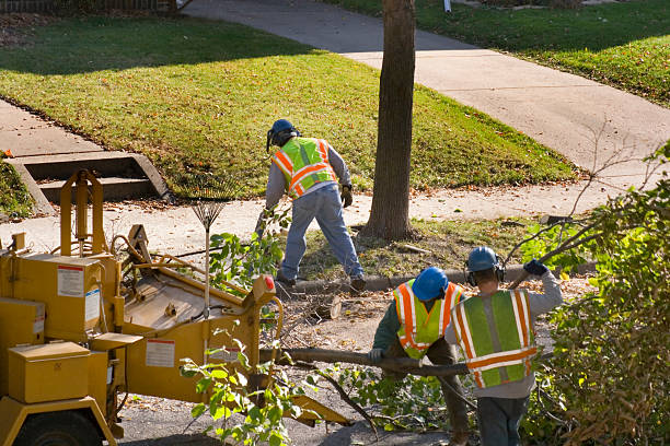 Best Seasonal Cleanup (Spring/Fall)  in Brice Prairie, WI